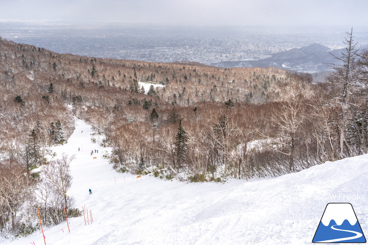 サッポロテイネ｜久しぶりの降雪で粉雪コンディション復活！ゲレンデ上部、2本の中斜面が絶好調(*^^)v